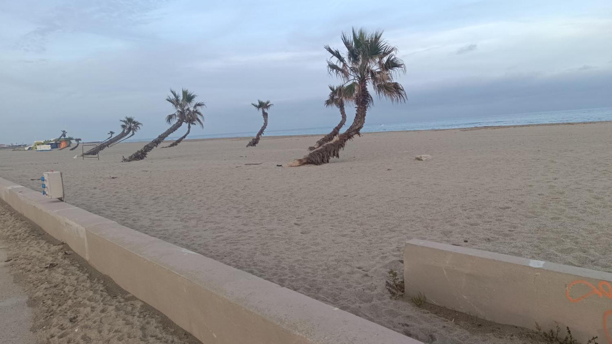 Les 2 Dauphins Villa Le Barcarès Екстериор снимка